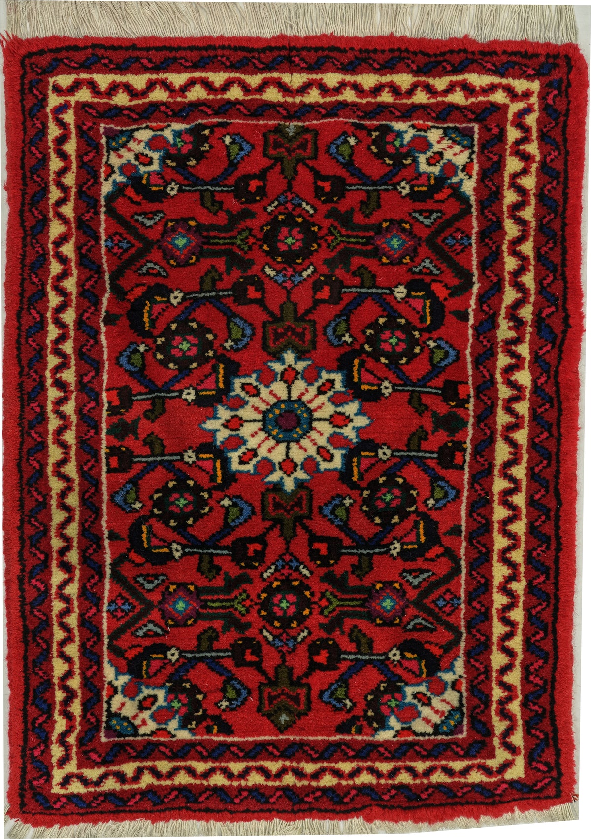 Persian Hamadan Hosseinabad Rug | 2' 2" X 3' | Red Colour | Herati Motif | Tribal Production