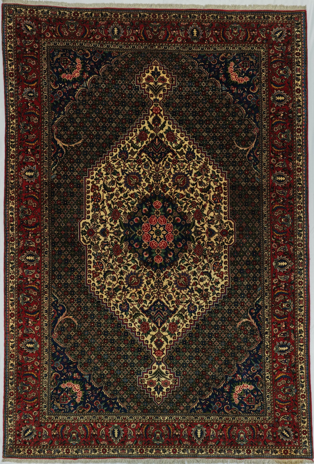 Persian Bakhtiari Rug | 6' 9" X 9' 11" | Green, Ivory, & Red Colours | Geometric Design | Tribal Production