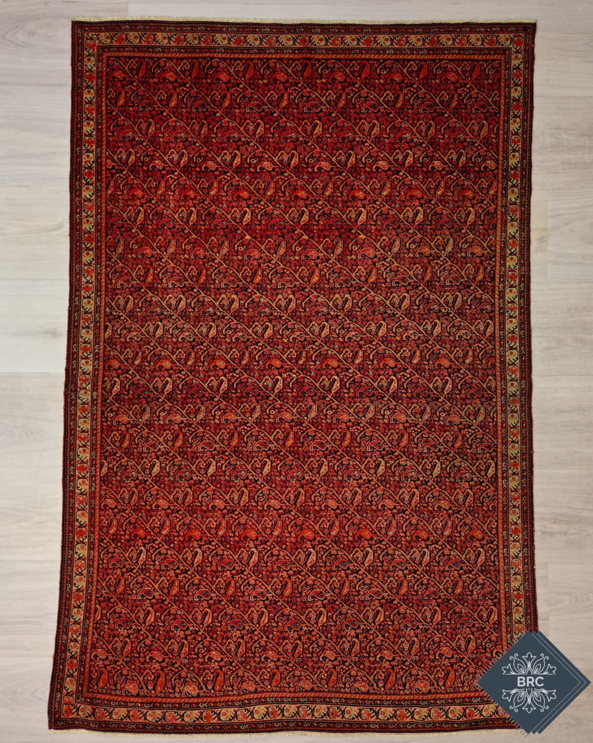 Antique Persian Farahan Rug Circa 1900 | 4' 3" X 6' 8" | RedColour | Finely Knotted | Tribal Production