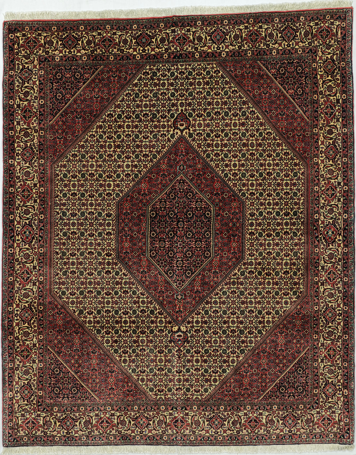 Persian Bijar Rug | 6' 9" X 8' 4" | Ivory & Red Colours | Unique Colour Combination | Urban Production